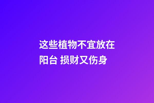 这些植物不宜放在阳台 损财又伤身